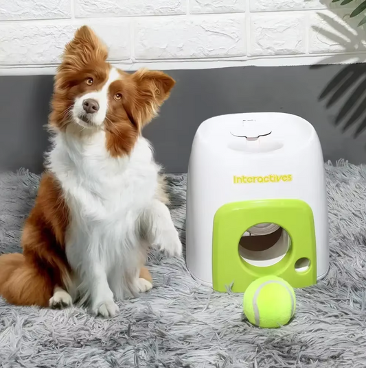 Pet Ball Thrower Interactive Training Reward Machine | BUY LAUNCHER GET TENNIS BALL (X3) FREE!!!