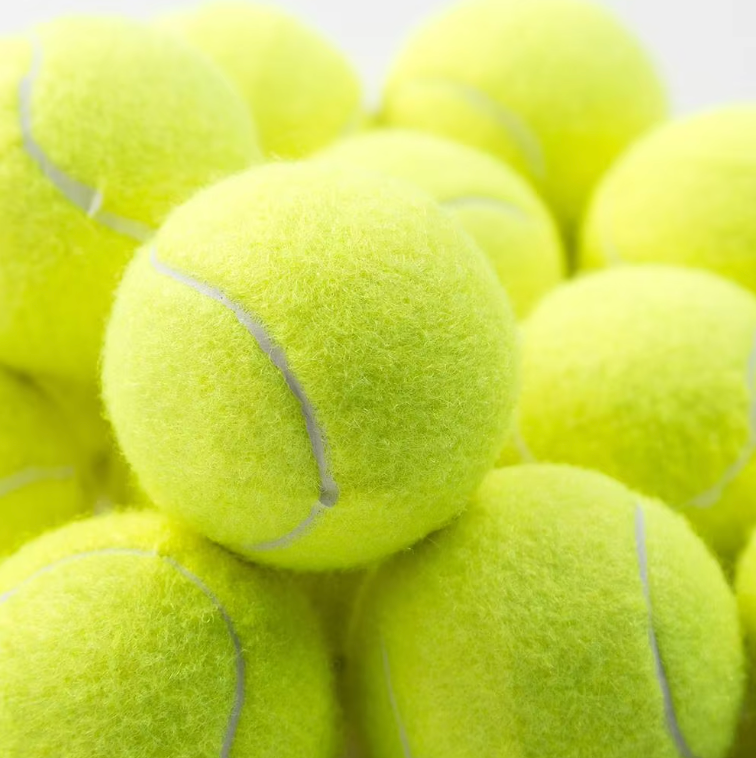 Pet tennis launcher ball dog bite