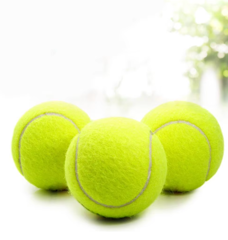 Pet tennis launcher ball dog bite