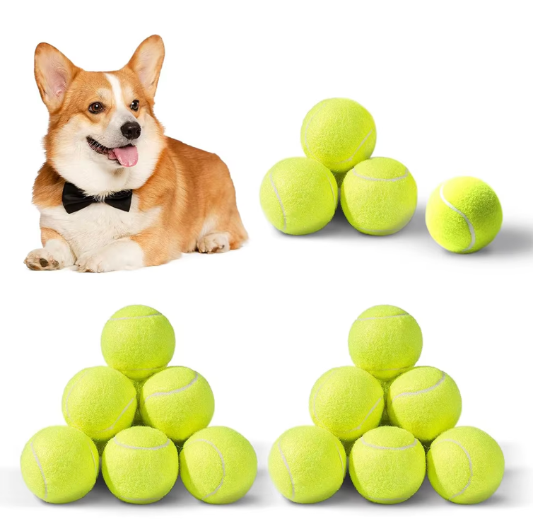 Pet tennis launcher ball dog bite