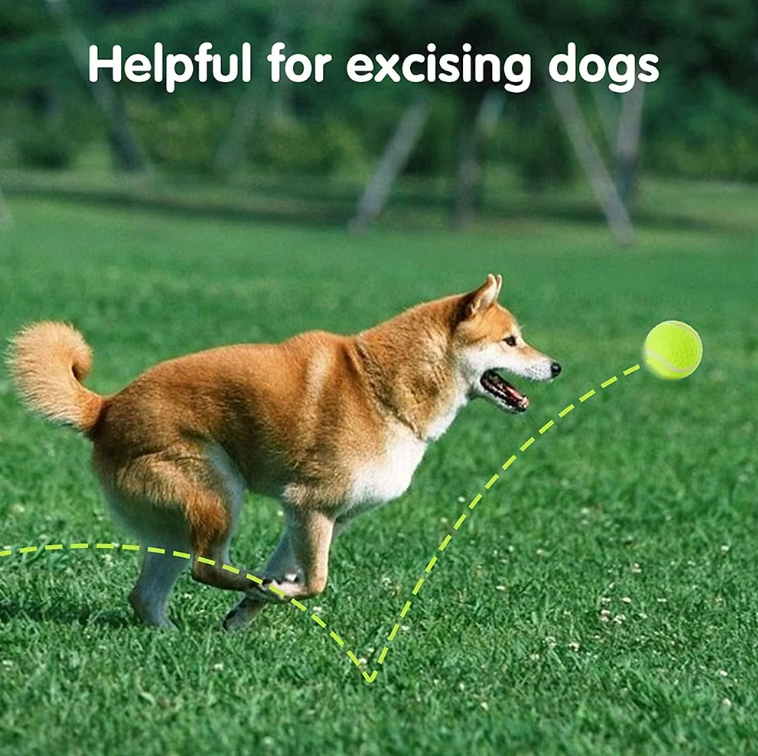 Pet tennis launcher ball dog bite