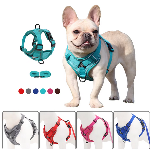 Anti-shedding pet harness reflective breathable dog leash cat leash