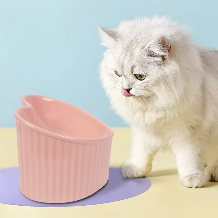 Slanted pet bowl Ceramic pet bowl