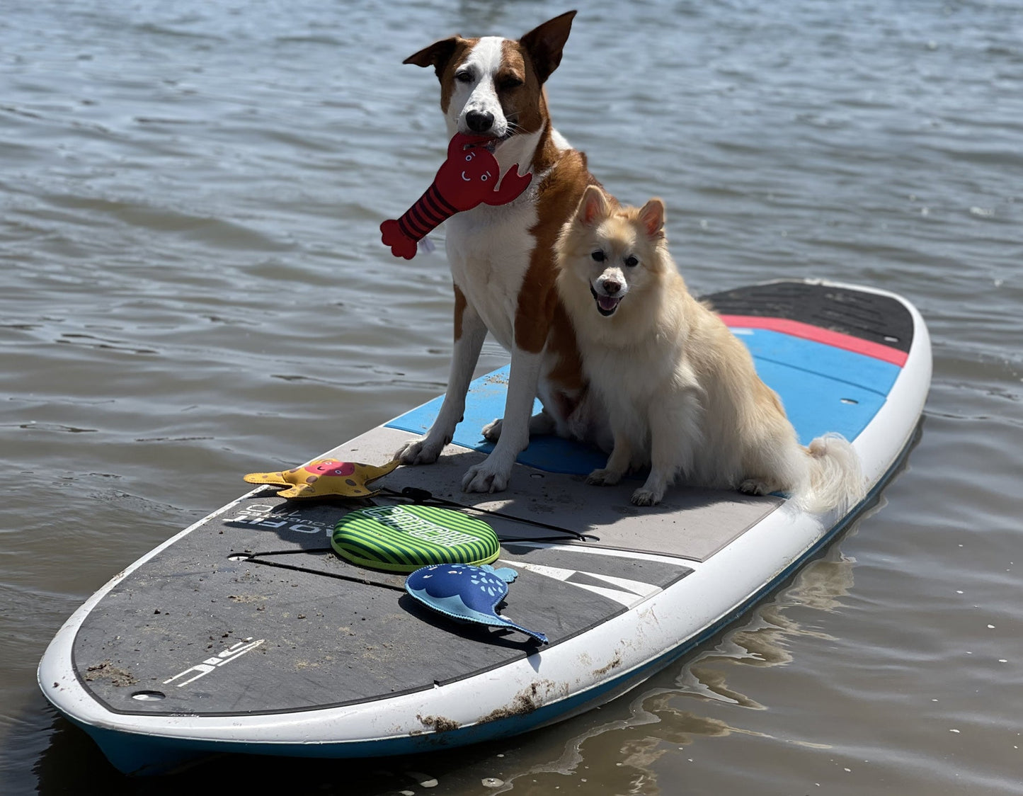 Lola the Lobster 11"