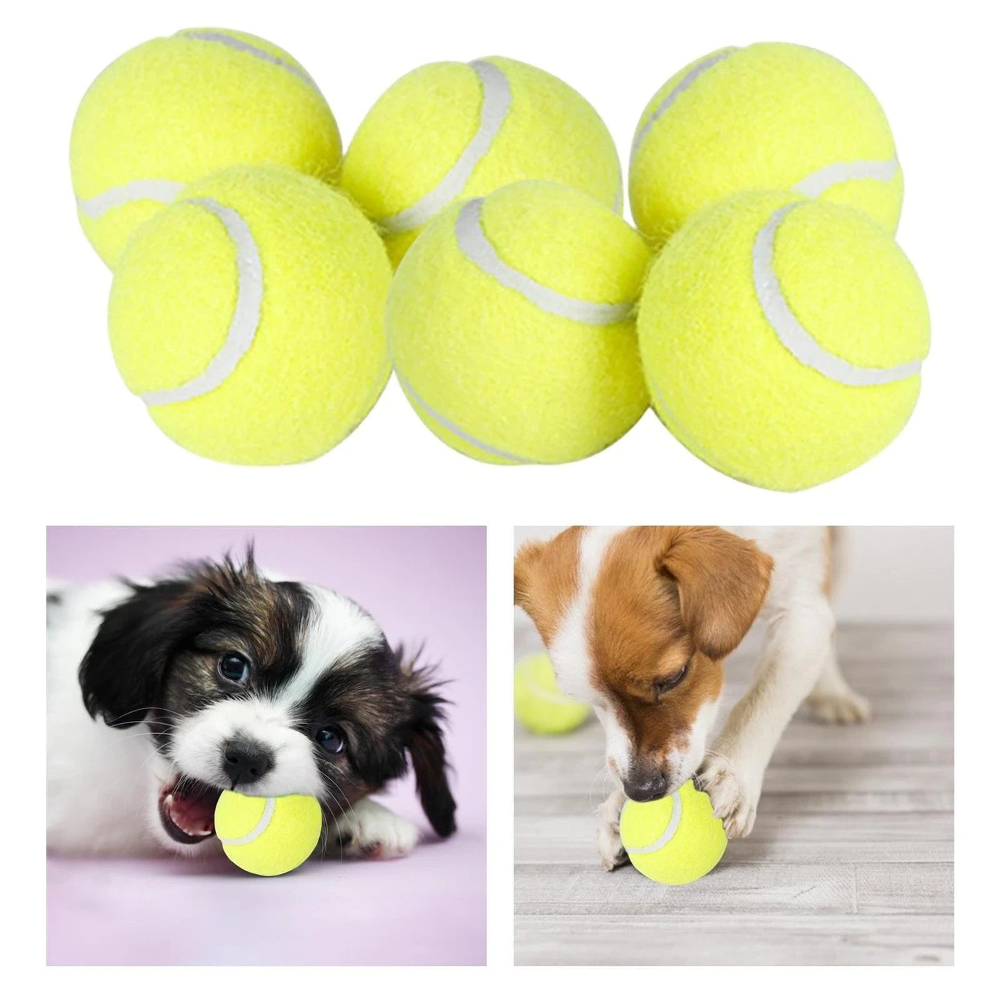 Pet tennis launcher ball dog bite