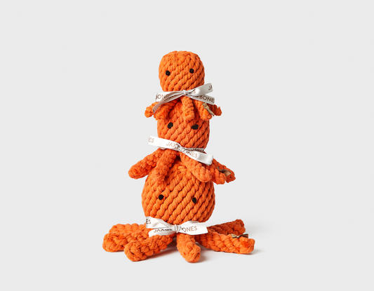 Elton the Octopus Rope Dog Toy